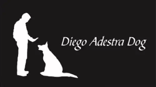 Diego Adestra Dog em Pedro Leopoldo - Busca Mais