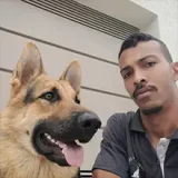 Diego Adestra Dog em Pedro Leopoldo - Busca Mais