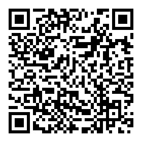 QR Code Pix